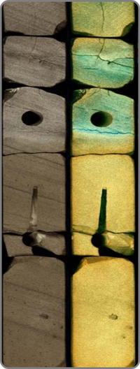 Core Fluids