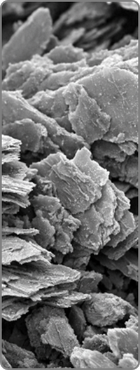 Digital Core